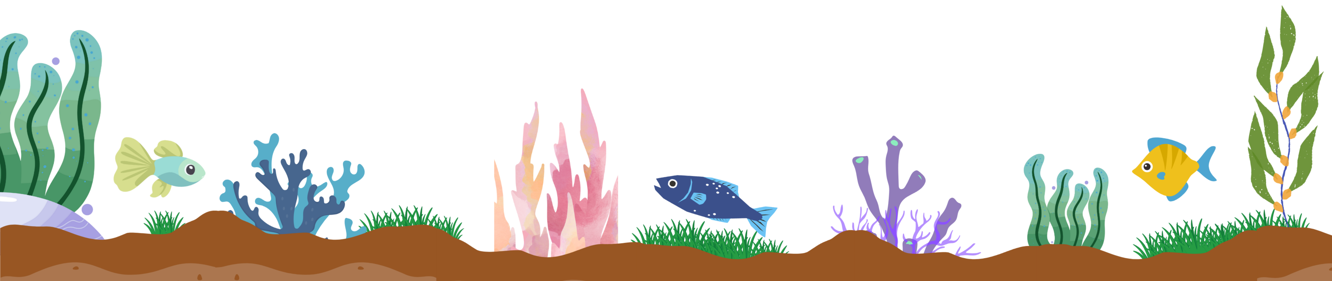 Ocean floor